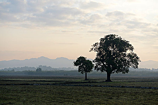 xs đà lạt