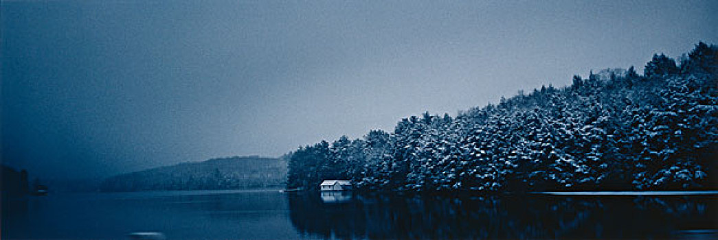 soi bạch thủ lô